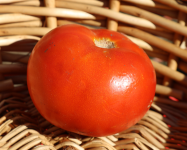 Heatmaster Hybrid Tomato Seeds